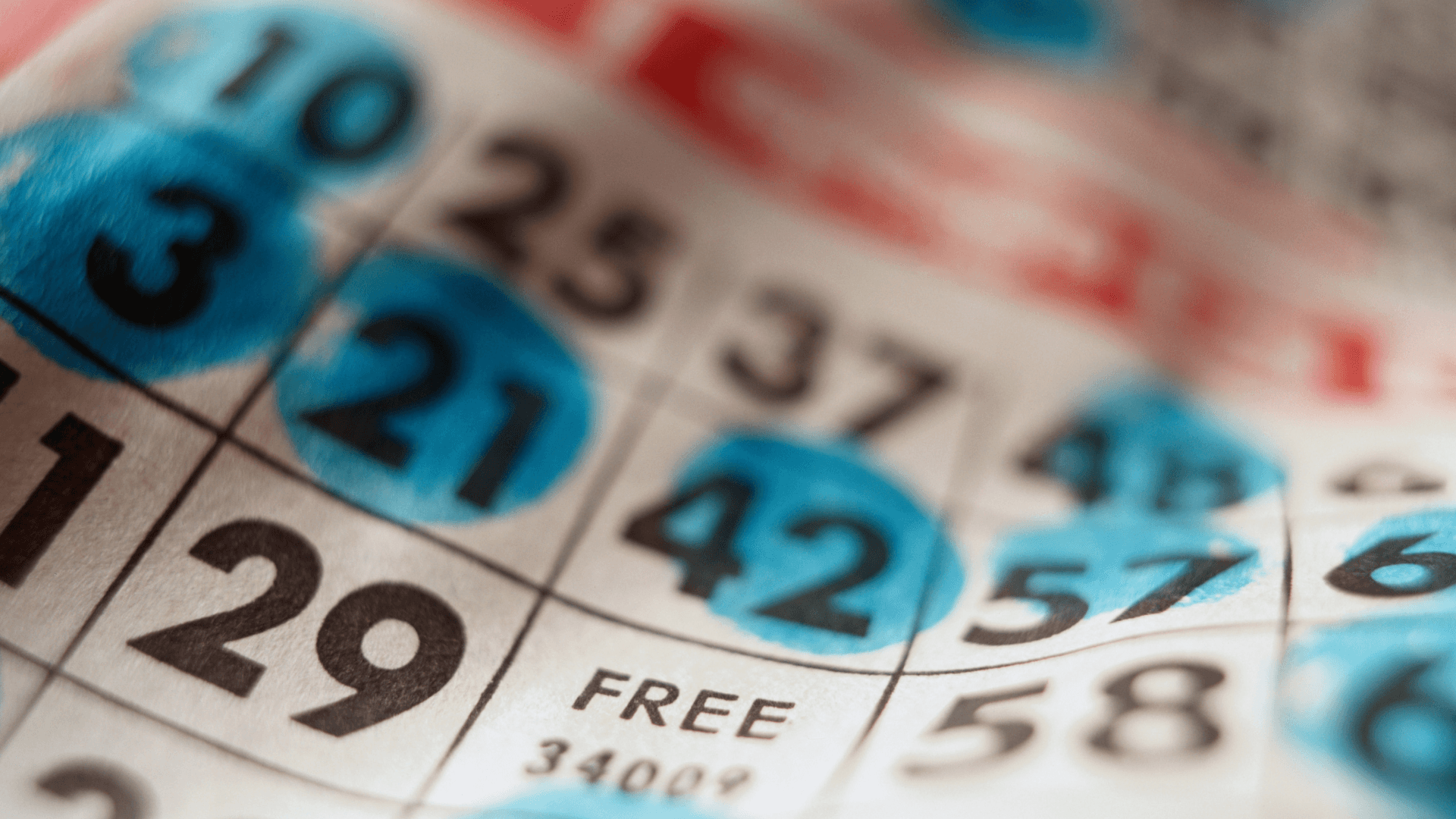 Alles über Online-Bingo-Karten und Anrufe image