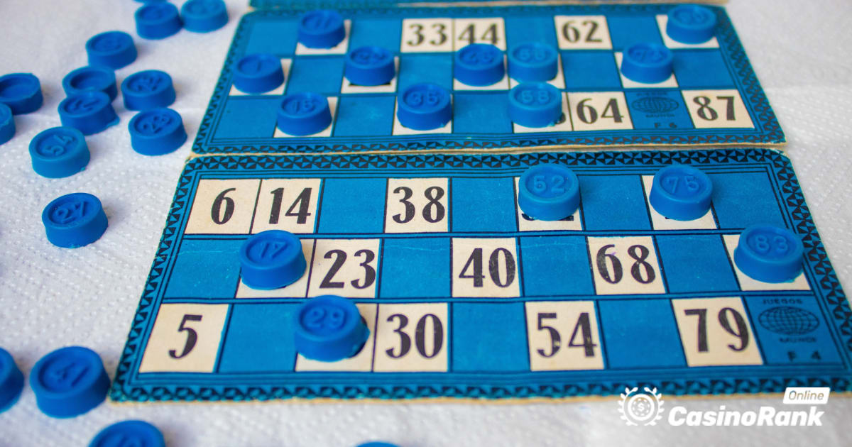 Wie viele Online-Bingo-Arten gibt es in Online-Spielotheken?